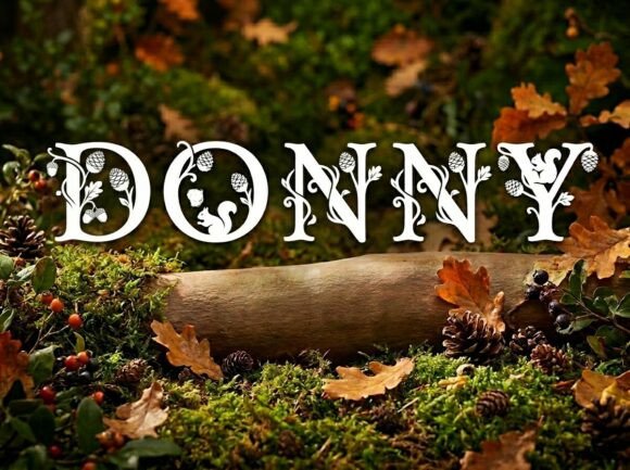 Donny: A Bold Display Font for High-Impact Design